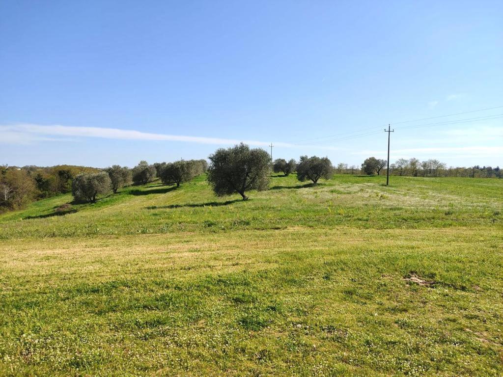Podere San Giuseppe Acquapendente Exterior foto